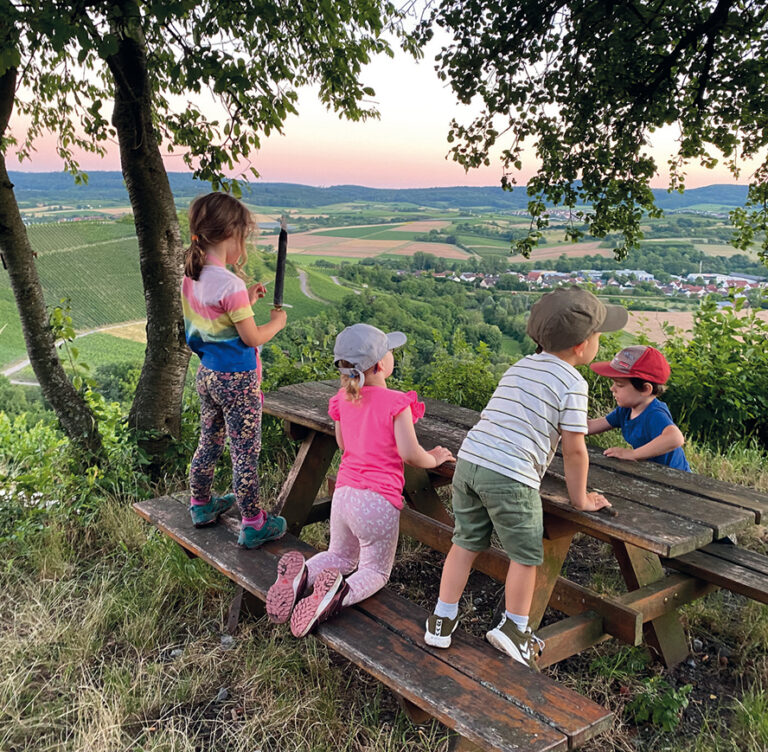 Kinder in den Weinbergen