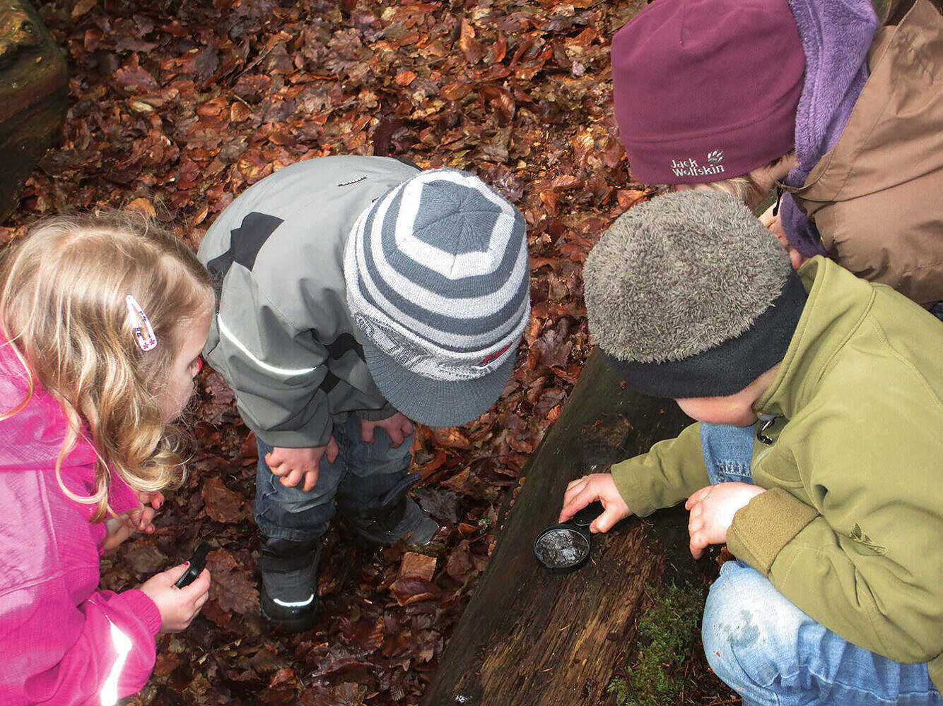 Waldbaden für Kinder: Ein zauberhaftes Abenteuer für Körper und Seele