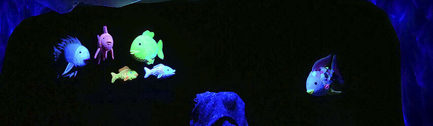 Känguruh-Theater: Der Regenbogenfisch