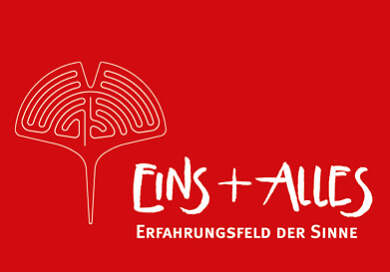 Erfahrungsfeld der Sinne EINS+ALLES