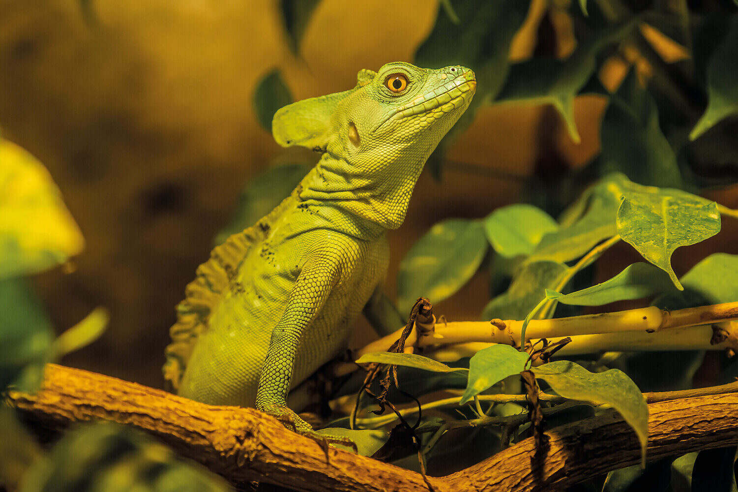 Der Sommer beginnt in Deutschlands größtem Reptilienzoo