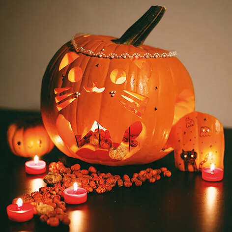 80 Jahre Sonnenhof: „Kürbis-Schnitzen“ – Bereit für Halloween?