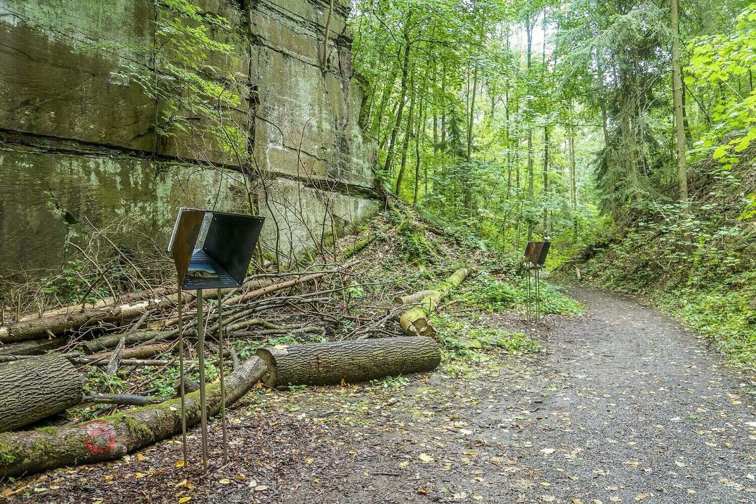 Mit Oma und Opa am Geo- und Naturpfad: Rundgang (ab 6 Jahren) „Reise in die Saurierzeit und vergangene Jahrhunderte“