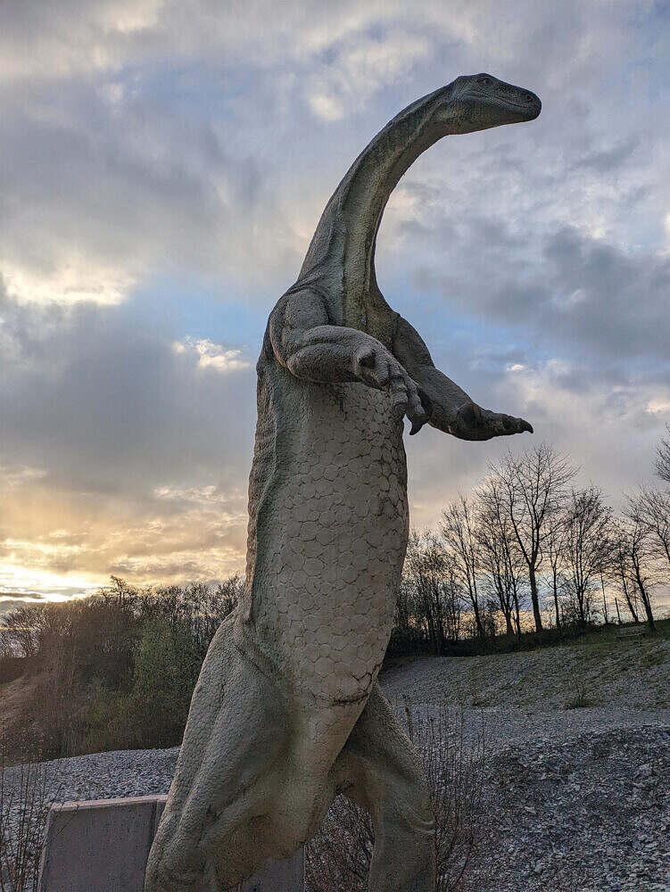 Eine Reise durch die Zeit im Urweltsteinbruch Holzmaden