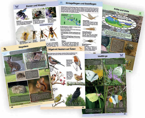Die Natur entdecken Ein Buch für kleine und große Forscher