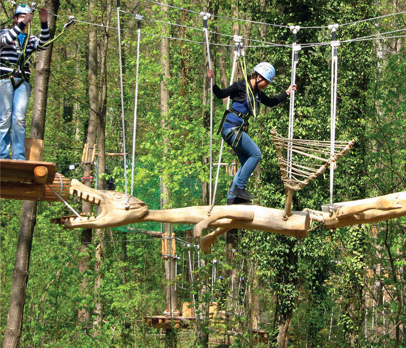 Familienabenteuer trifft Adrenalin Waldseilpark Karlsruhe eröffnet spektakulären Base-Jump
