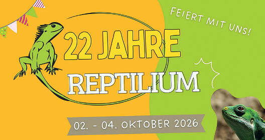 Herbstabenteuer im Reptilium Landau – Exotik hautnah erleben